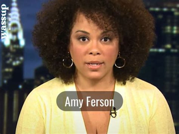 Amy Ferson Bio, Wiki, Age, T.J. Holmes, Daughter, Msnbc, Cnn, and Net Worth