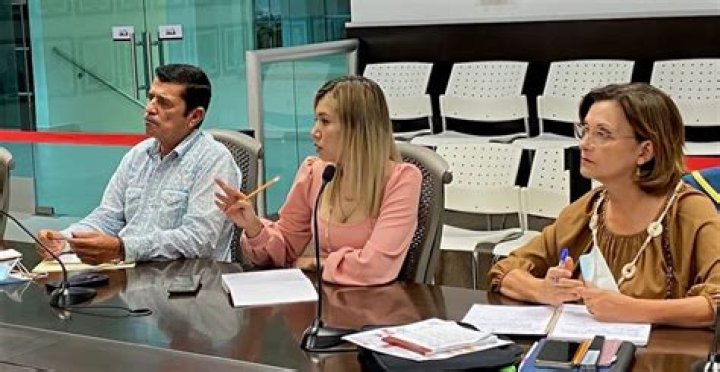 Mexican Politician Denisse Ahumada Arrest Charges 93 Pounds Cocaine In Car Arrested In Texas