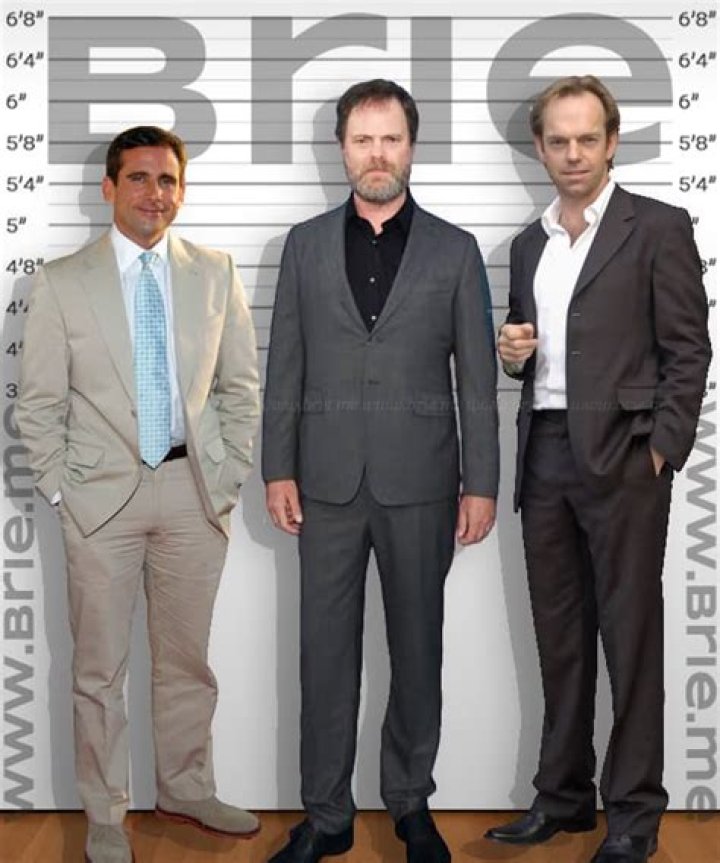 Rainn Wilson Height