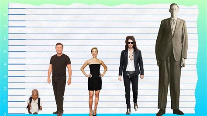 Ricky Gervais Height