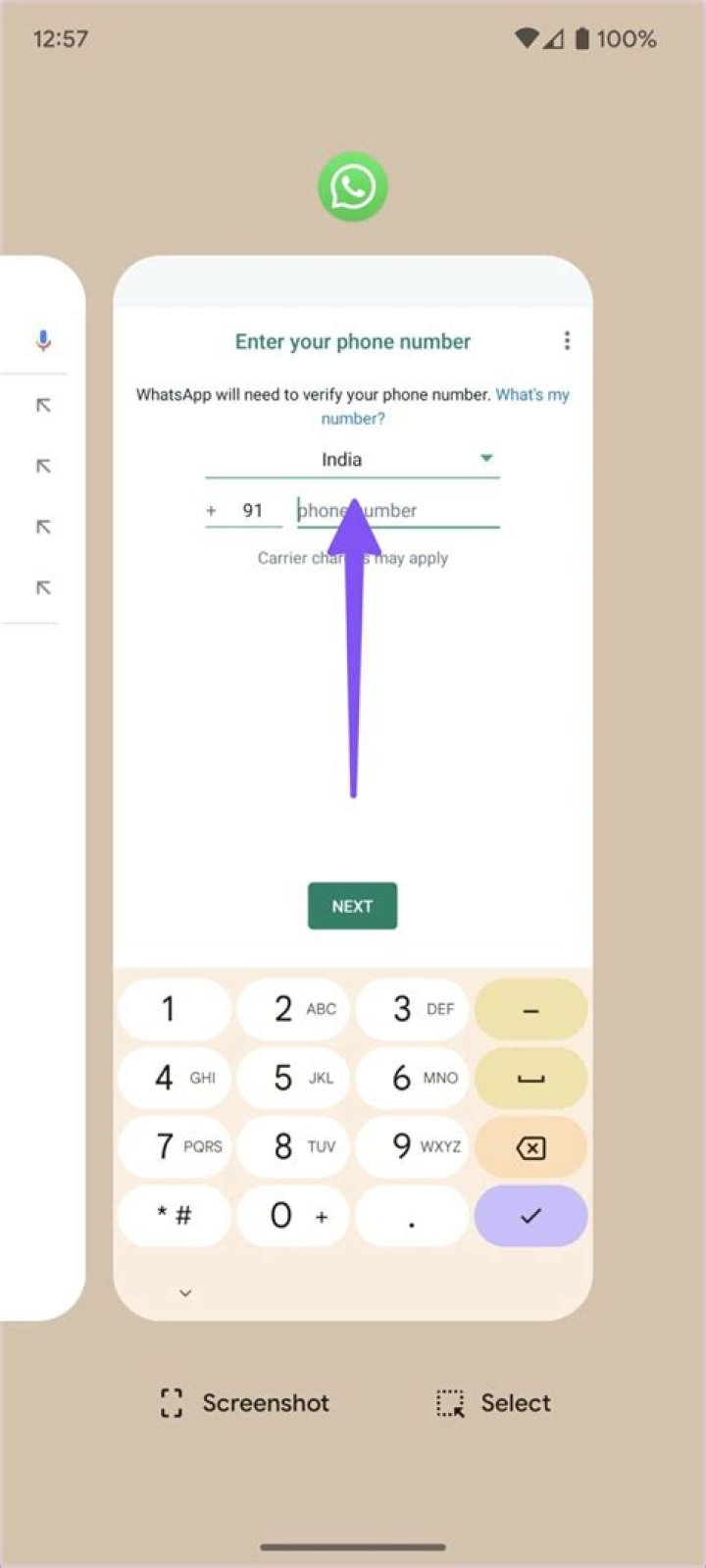 Spoonkid Phone Number, WhatsApp Number Contact Number Mobile